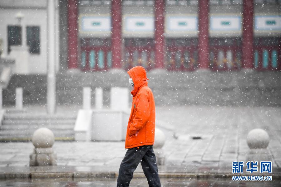 (环境)(3)长春飘雪