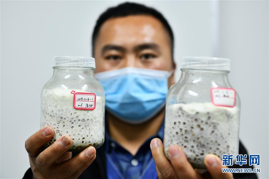 (决战决胜脱贫攻坚·图文互动)(4)苗寨吊脚楼里的“居家产业”