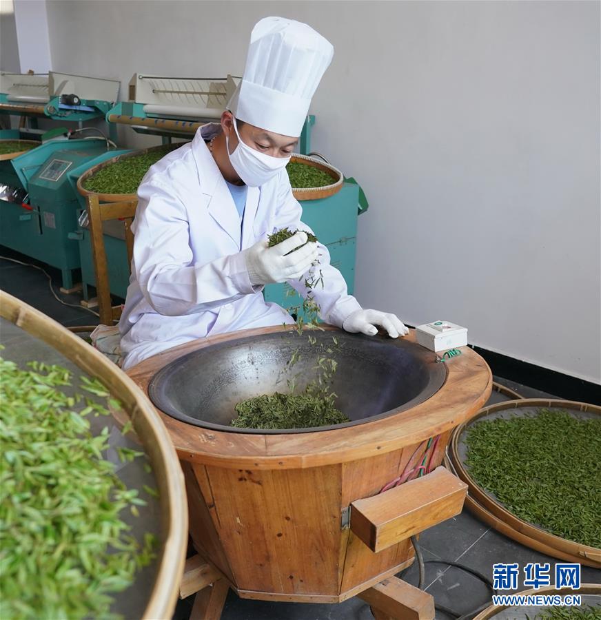 (经济)(3)“南茶北移”香飘太行