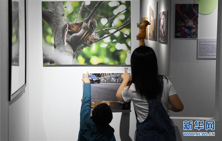 (文化)(2)“野生·WILD”影像展海口开展