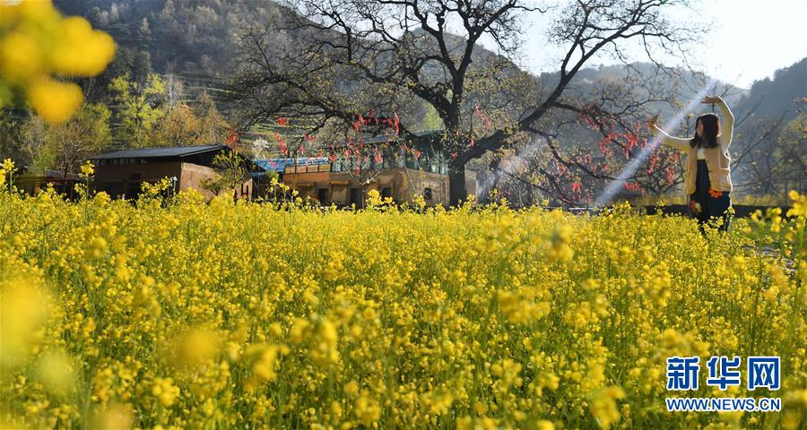 (脱贫攻坚)(6)苏陕协作建设美丽乡村 带动富民新业