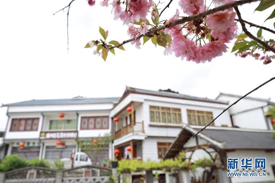 (脱贫攻坚)(5)贵州花茂村:花繁叶茂展新颜