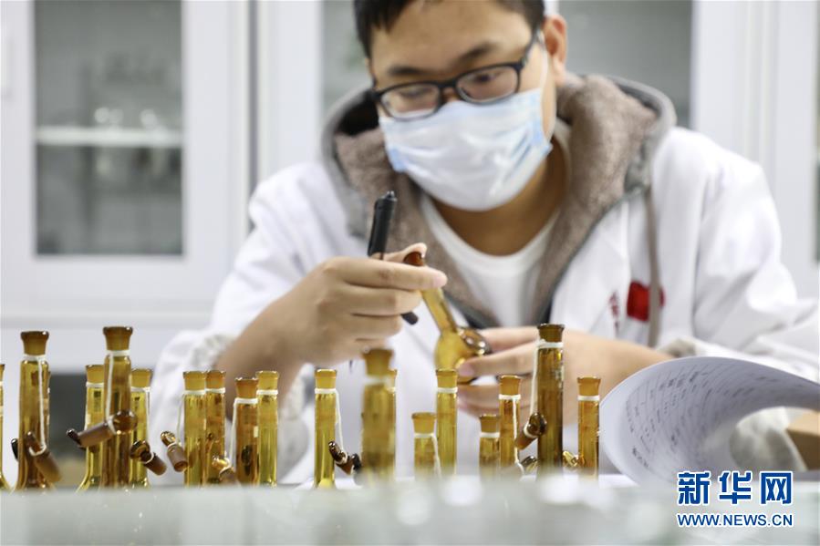 (新华视界)(2)广西融安:青蒿种植助脱贫