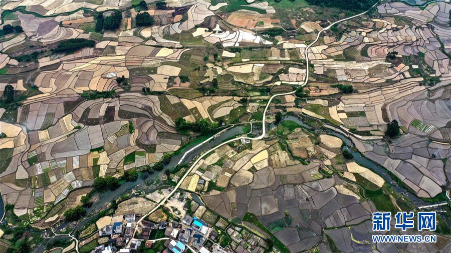 (环境)(5)飞阅桂北春日田园