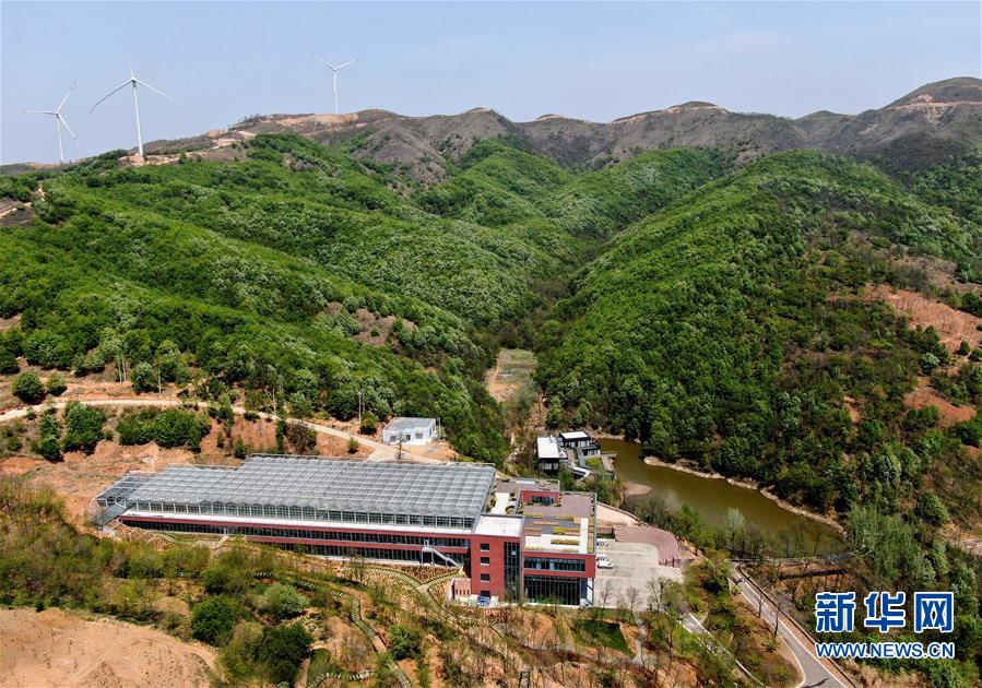 （脱贫攻坚）（9）河南洛阳：特色农业助增收