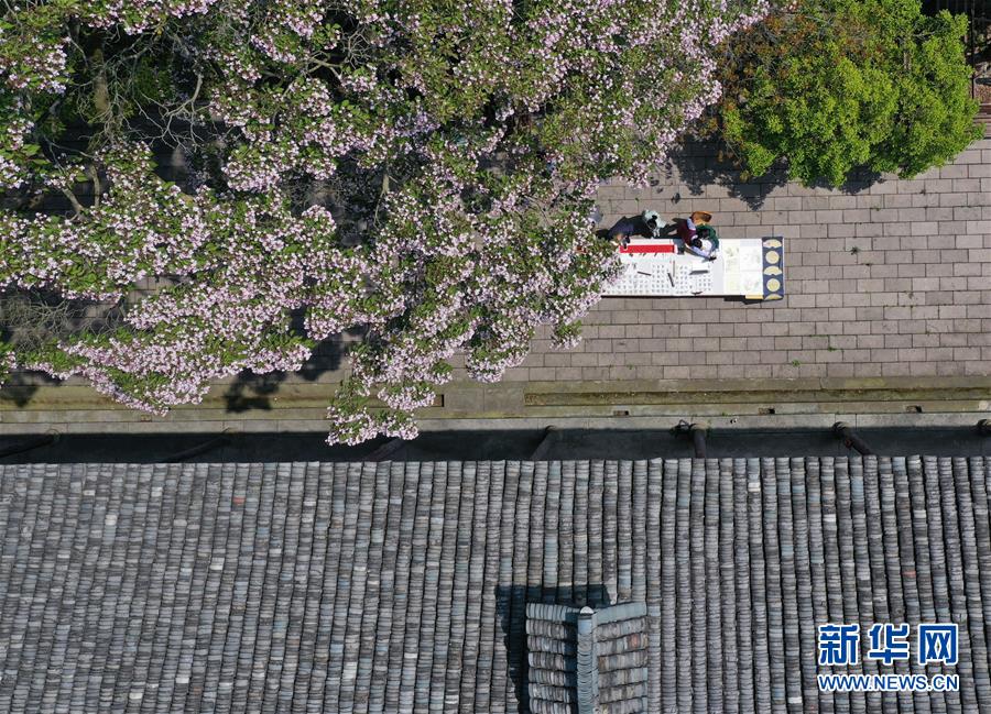 (教育)(1)梓树花下的“云上”书法节