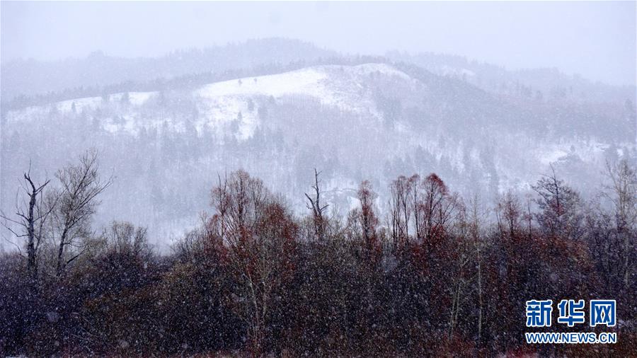 （图文互动）（2）黑龙江漠河：谷雨节气迎来大雪