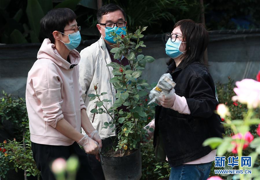 #(社会)(2)武汉:花卉市场人气渐旺