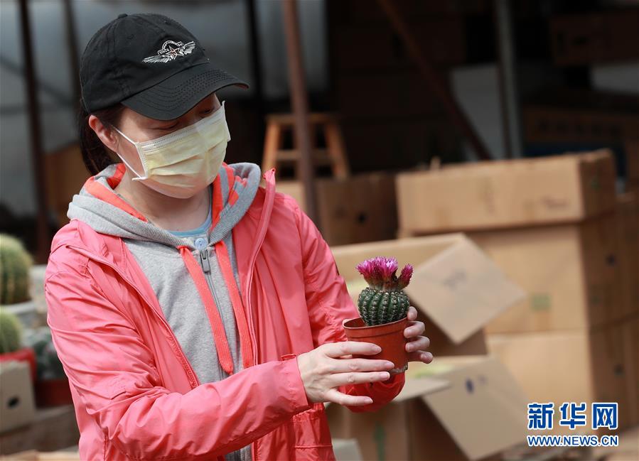 #(社会)(4)武汉:花卉市场人气渐旺