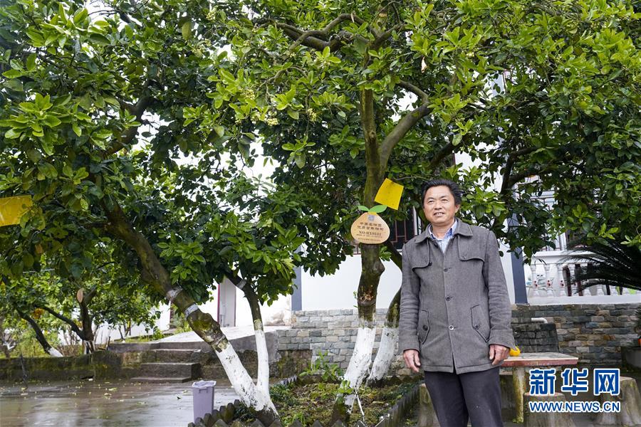 （图文互动）（5）重庆梁平：“五湖四海”绘出“田园之城”