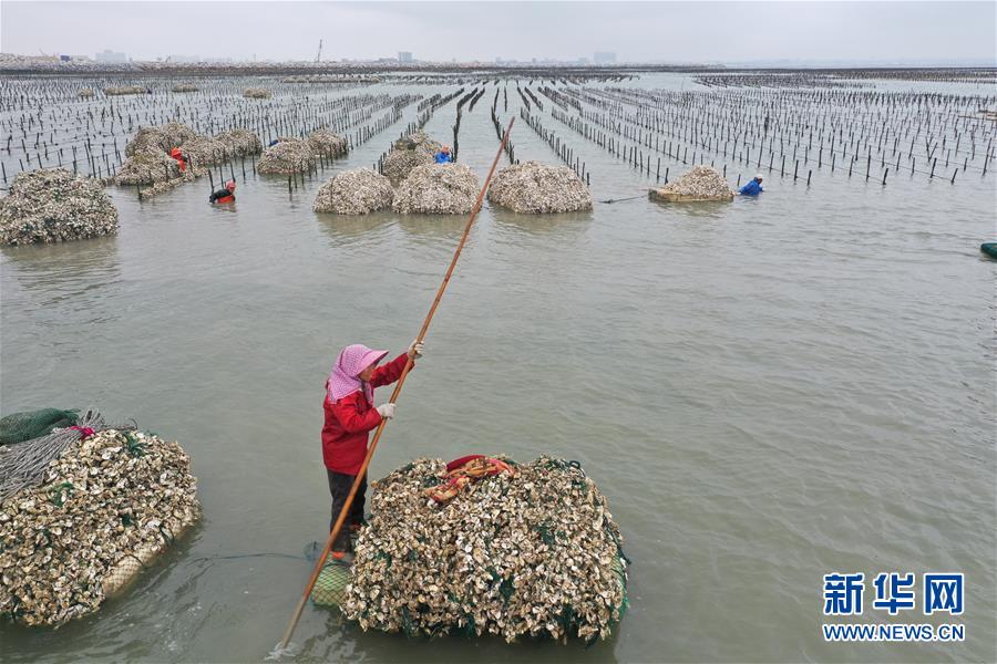 #(经济)(2)福建南安:生产稳步推进
