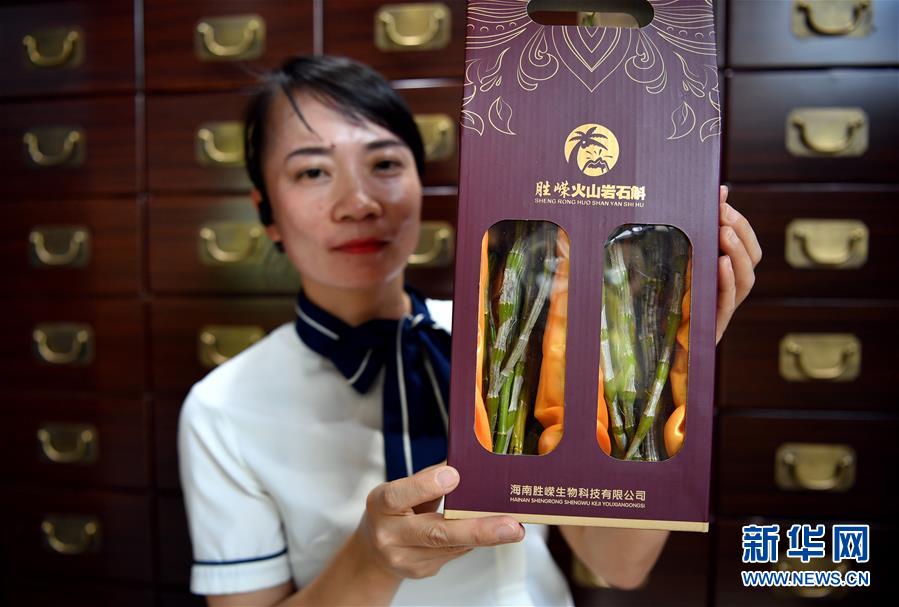 (社会)(5)海南施茶村:火山石上开出幸福花