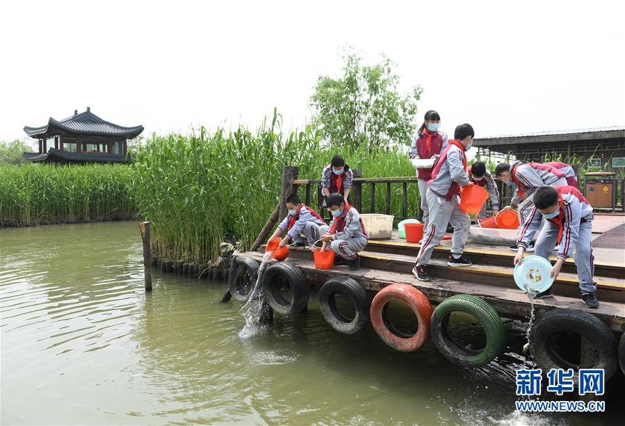 (环境)(7)浙江德清:保护湿地 恢复风貌