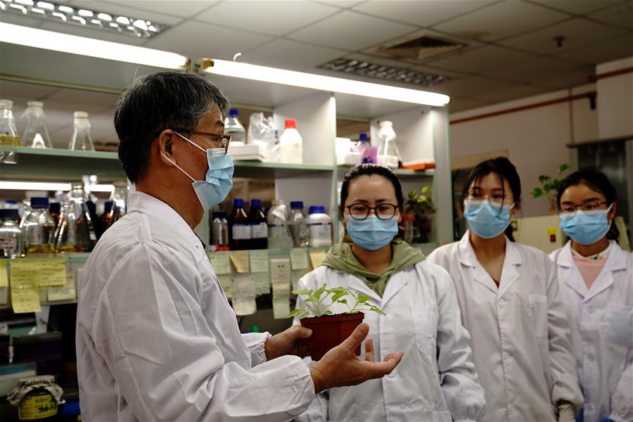 （图文互动）（6）应对全球变暖下粮食安全挑战 我国科学家独辟蹊径获突破性进展