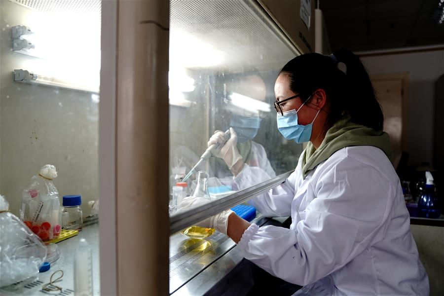 （图文互动）（7）应对全球变暖下粮食安全挑战 我国科学家独辟蹊径获突破性进展