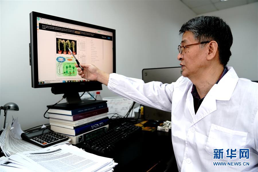 （图文互动）（1）应对全球变暖下粮食安全挑战 我国科学家独辟蹊径获突破性进展