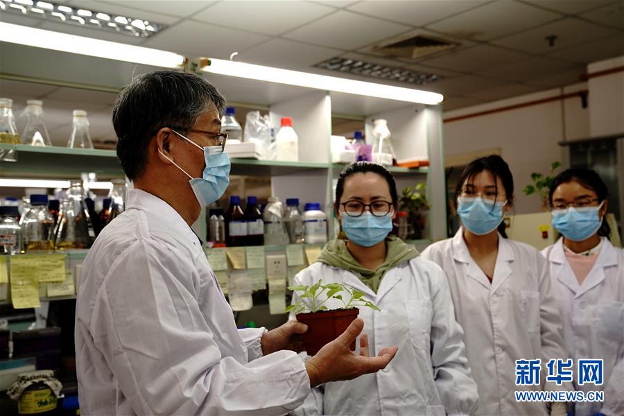 （图文互动）（6）应对全球变暖下粮食安全挑战 我国科学家独辟蹊径获突破性进展