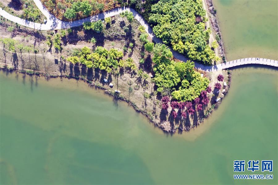 （春季美丽生态）（5）河南鹤壁：暮春淇河美