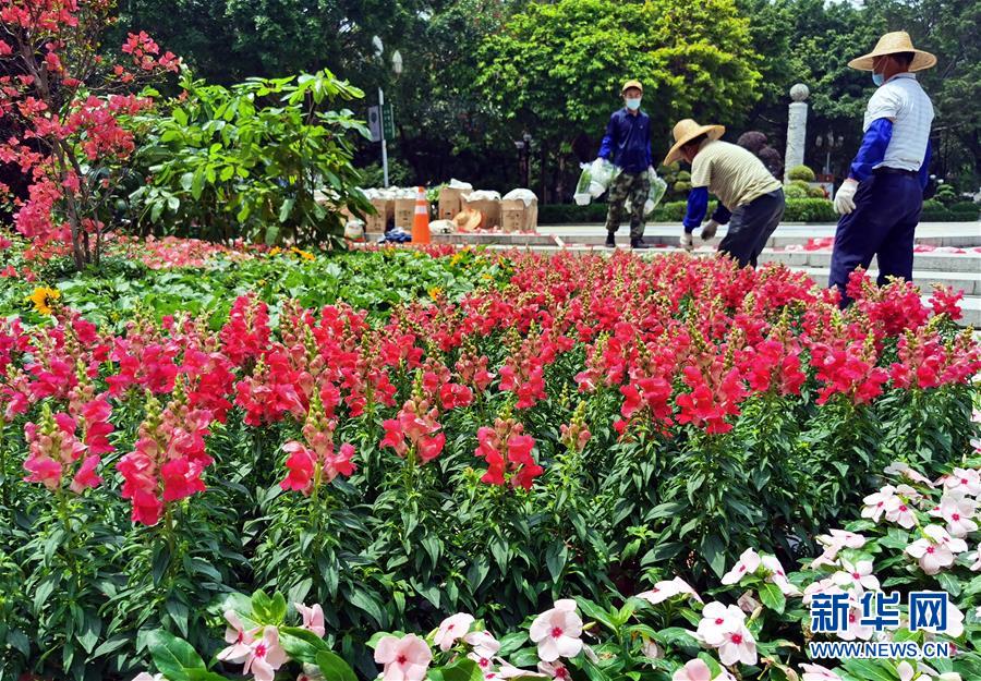 (社会)(4)广州:扮靓街头迎“五一”