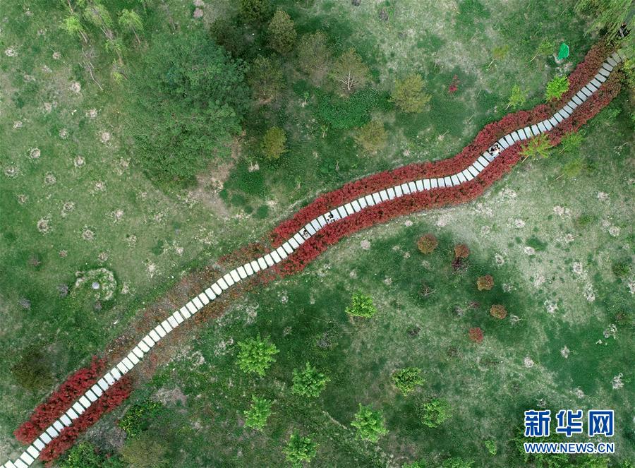 (环境)(2)陕西咸阳:渭河之滨打造生态景区