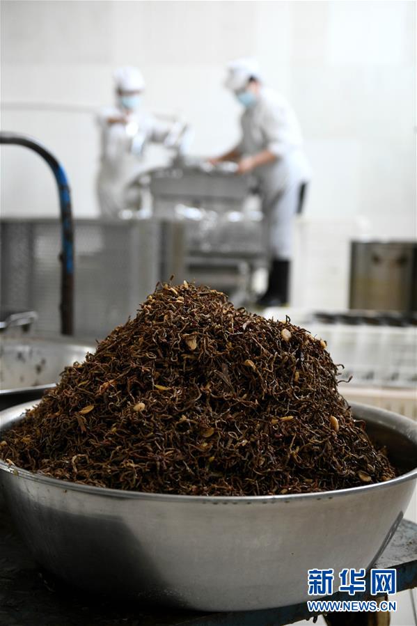 #(新华网)(5)河北正定崩肝制作技艺