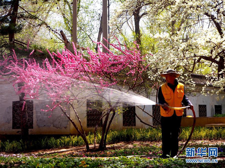 (图文互动)(1)特写:西宁花事