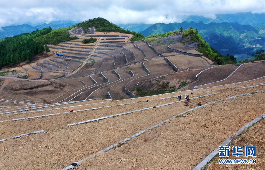 #（经济）（1）湖北宣恩：土苗山乡田园新景致