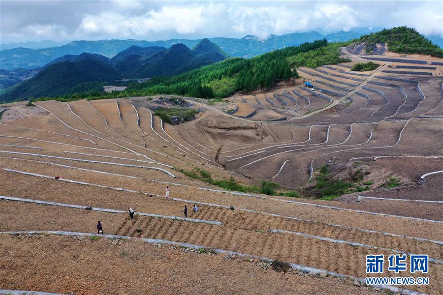 #（经济）（4）湖北宣恩：土苗山乡田园新景致