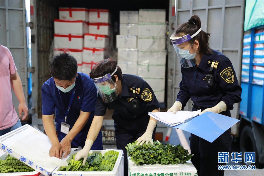 (社会)(8)“菜篮子”牵起两地情