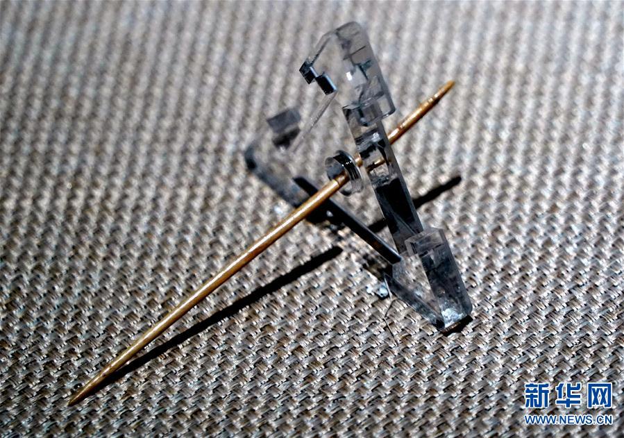 （图文互动）（14）河南巩义“河洛古国”重大考古成果发布