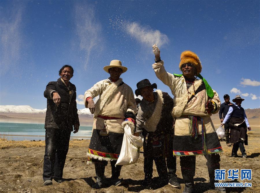 （图文互动）（2）藏北牧区的春耕典礼