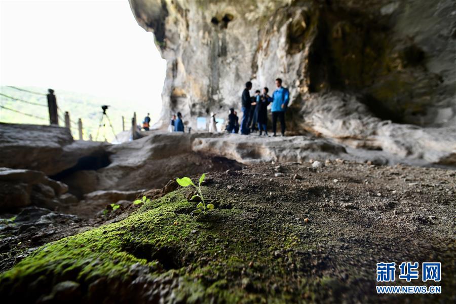 （图文互动）（3）聆听18万年前的远古回声——福建万寿岩遗址保护纪实