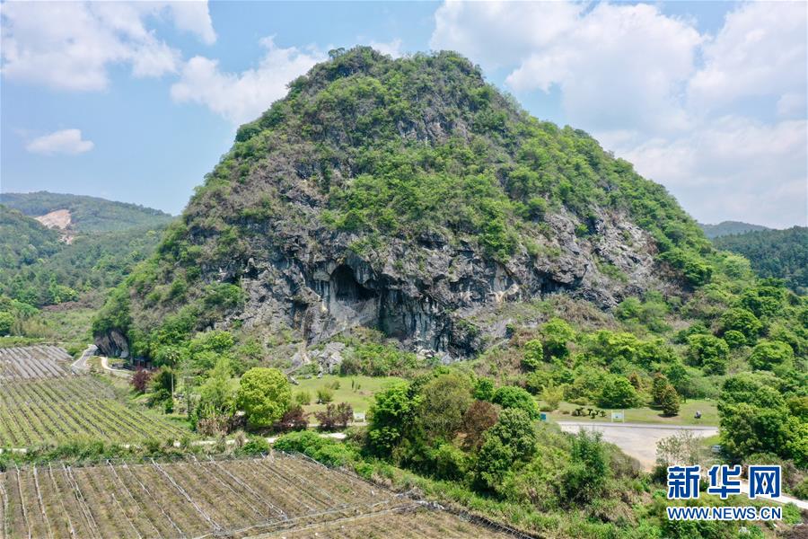 （图文互动）（1）聆听18万年前的远古回声——福建万寿岩遗址保护纪实