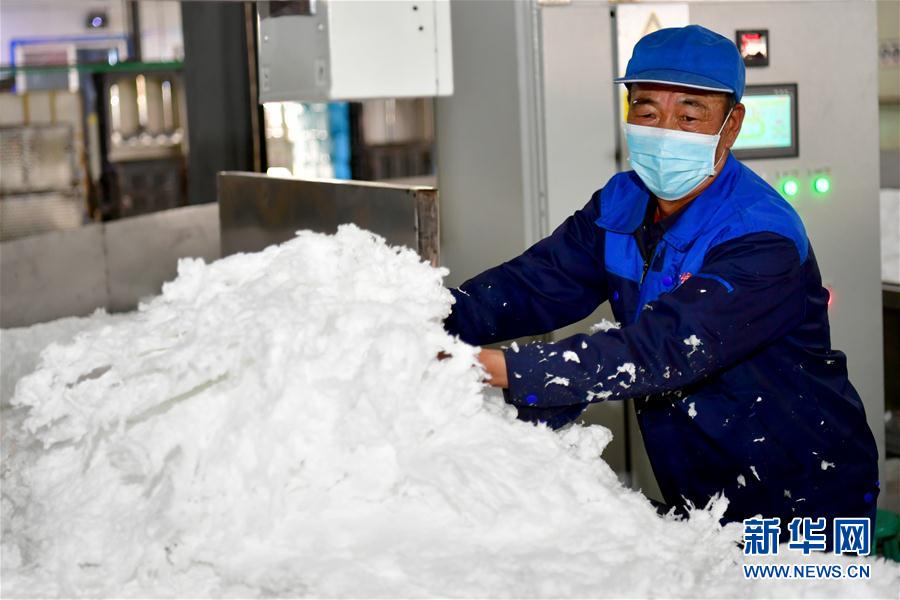 （社会）（7）再见，赵家洼
