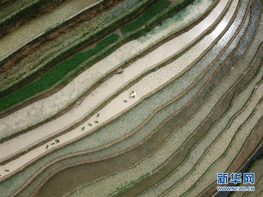 #(美丽中国)(2)鸟瞰梯田美