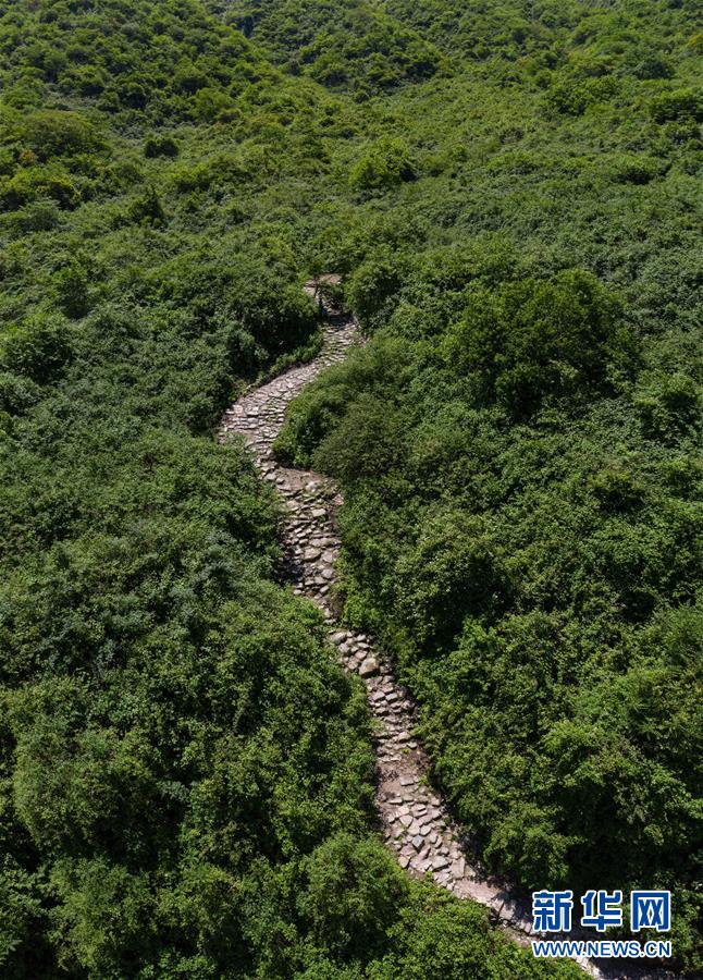 (社会)(5)四川荥经:修复茶马古道
