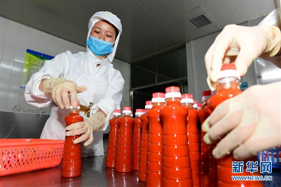 （经济）（5）贵州：古法酿制酸汤形成规模产业