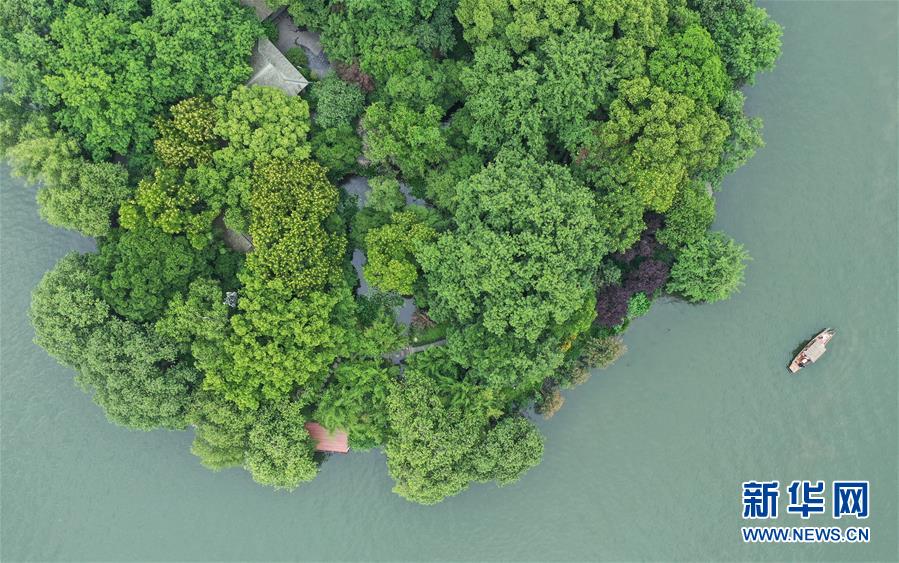 (环境)(5)西湖初夏