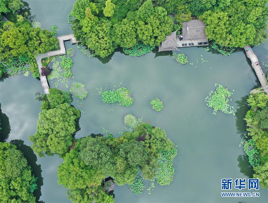 (环境)(4)西湖初夏