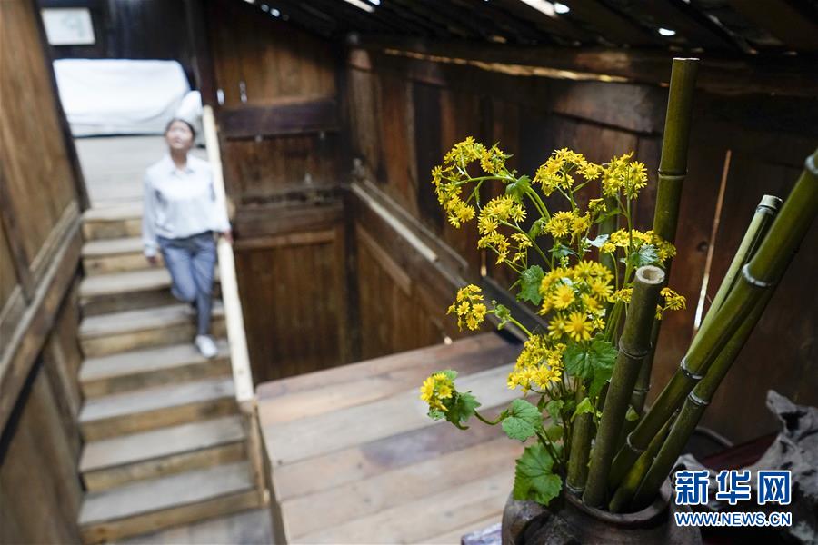 （脱贫攻坚）（4）重庆城口：乡村旅游助力脱贫增收