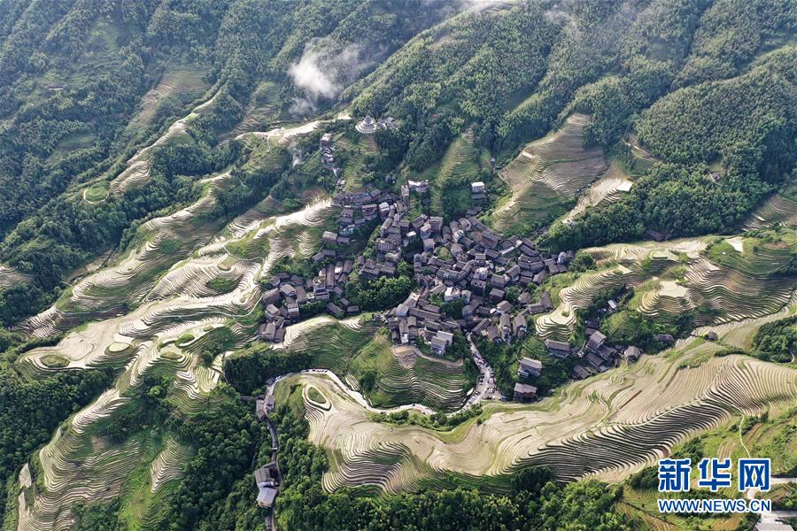 (环境)(6)广西龙胜:夏日龙脊景色迷人