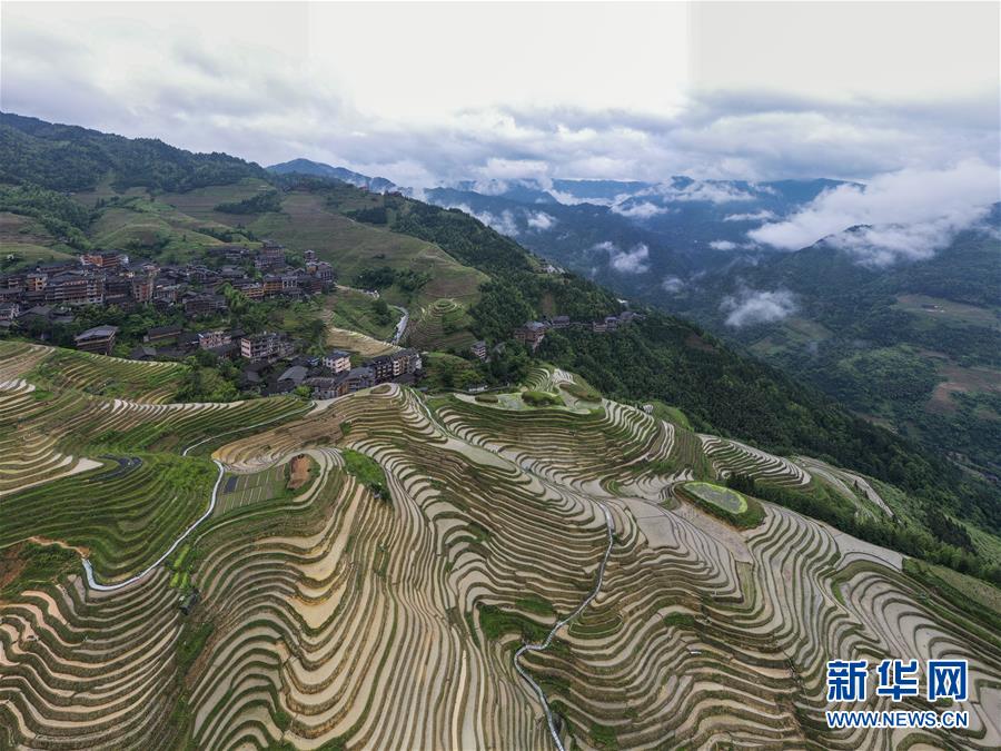 (环境)(8)广西龙胜:夏日龙脊景色迷人
