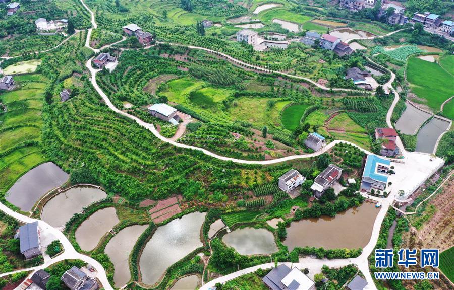 (新华视界)(2)重庆:夏日山乡美