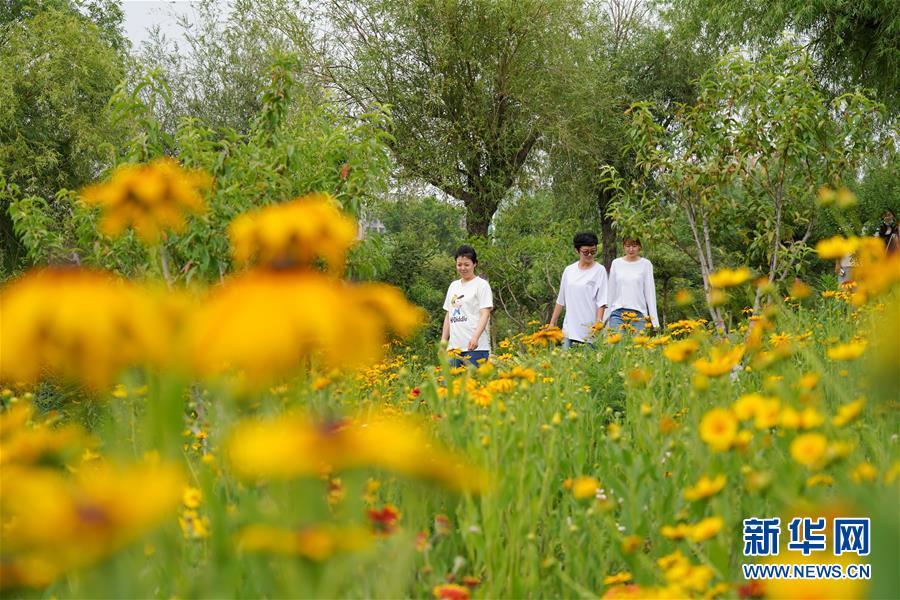 (环境)(5)河北唐山:昔日“生态疮疤”焕发夏日“美颜”