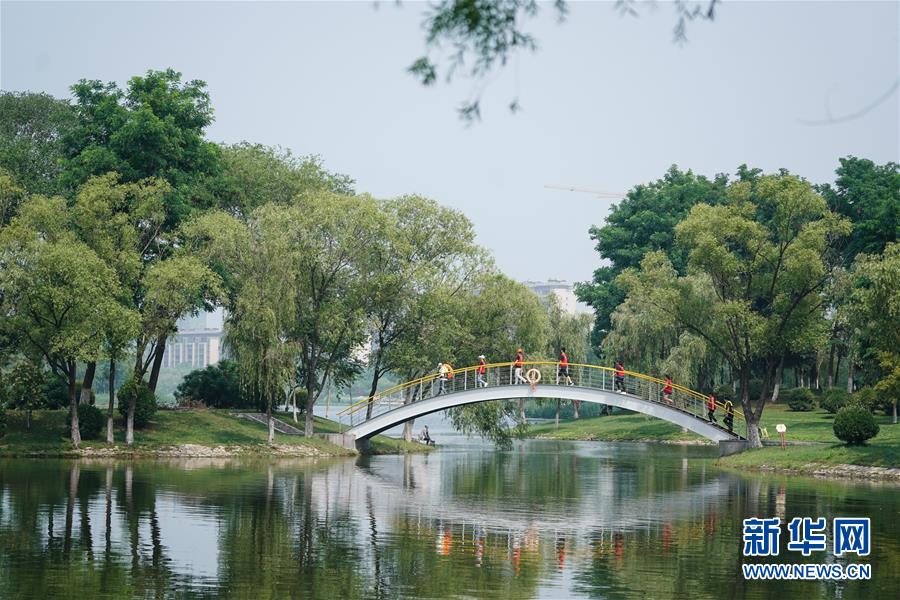 (图片故事)(6)江苏宿迁:古黄河畔的“生命守护者”