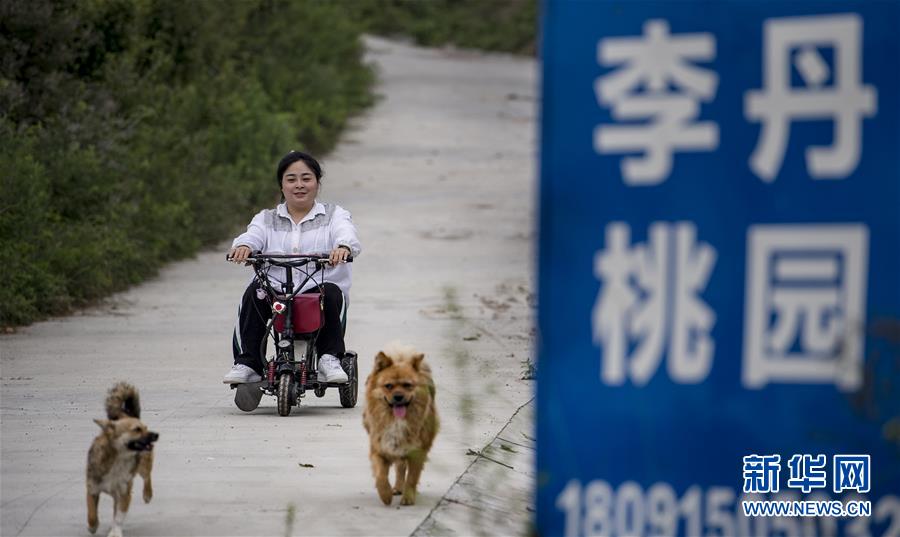 (图片故事)(5)播种甜蜜的一家人