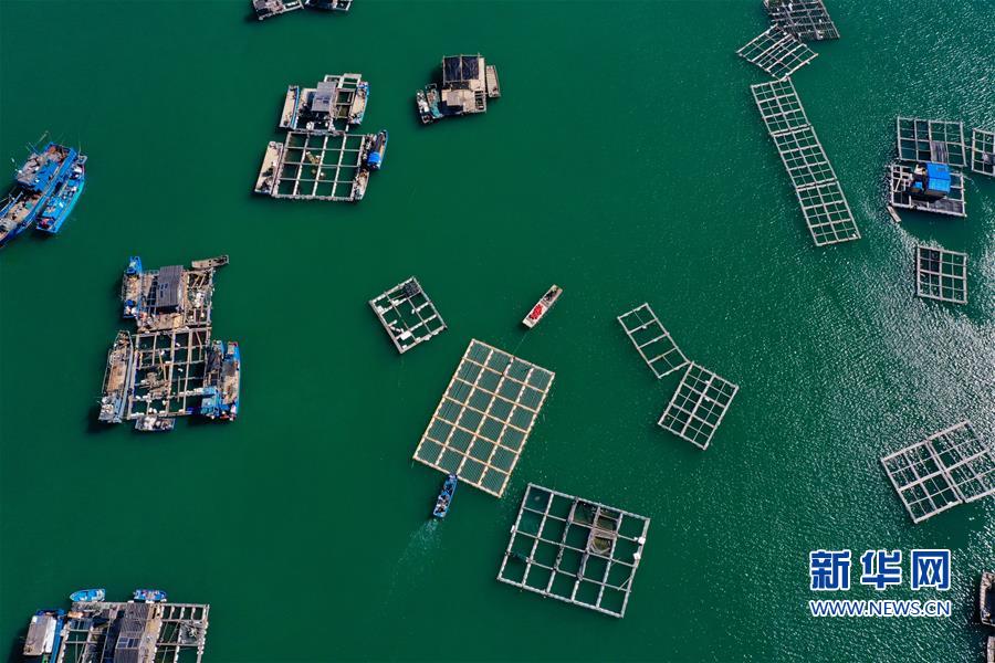 （美丽中国）（5）福建东山：全力打造全域生态旅游海岛