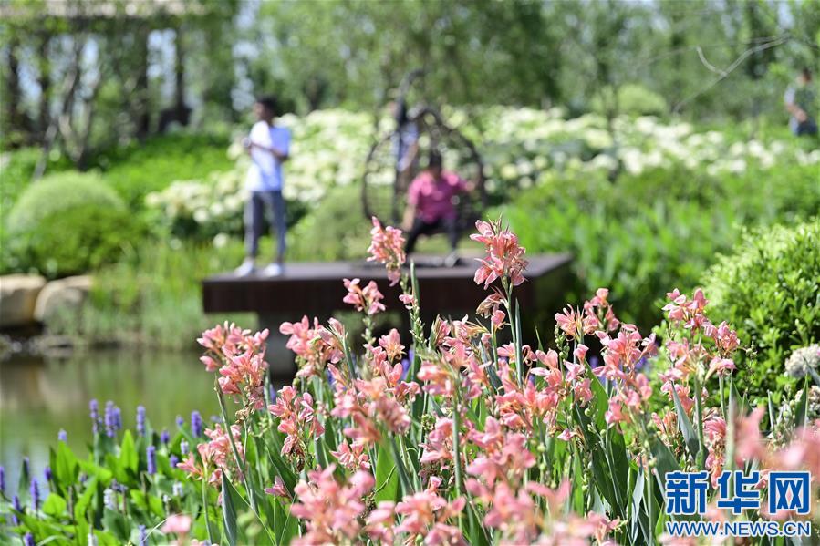 (社会)(7)鄱阳湖渔民上岸转型记