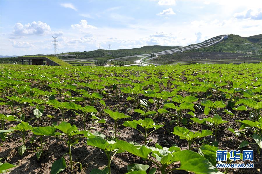 （环境）（3）乌兰浩特：荒山治理修复变景区