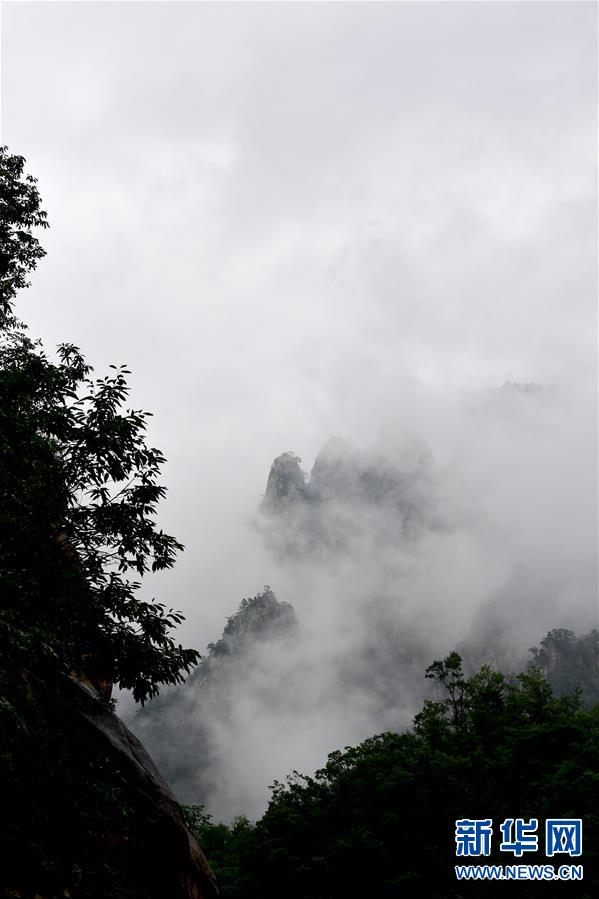 （新华视界）（3）河南西峡：云卷云舒老界岭